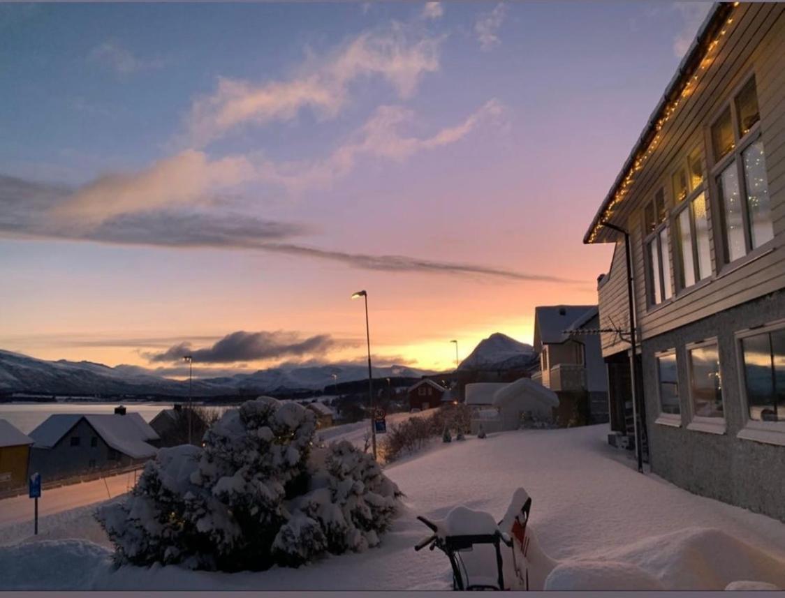 Lyngen, Mackay Appartment, Lyngen Lyngseidet Extérieur photo